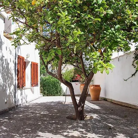 House In Cala Sant Vicenc Close To The By Renthousing *